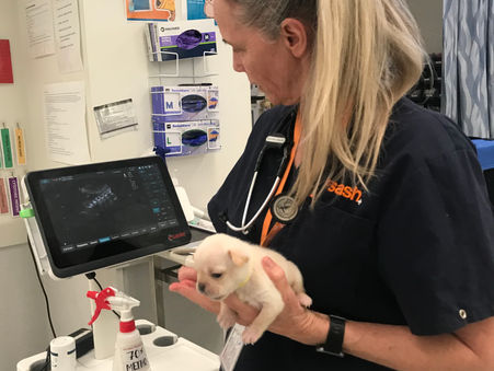 The Price of Caring – And How POCUS Helps Me Carry It