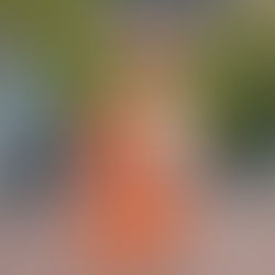 Naomi Osaka Defeats Victoria Azarenka to Win Second US Open Title