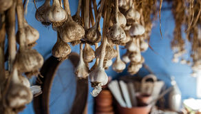 Garlic: Nature's Powerhouse for Health    and Home Gardens