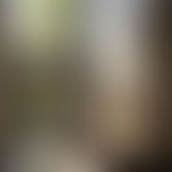 Artículo 7: Qué tiene que tener una propiedad para ser parte de mi selección