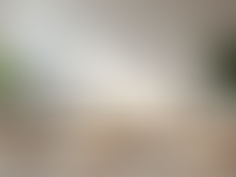 Simplify Your Life with Home Organisation Services