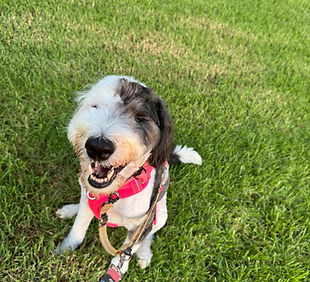 WhatsApp Image 2026-04-20 at 9.55.14 PM (4).jpeg