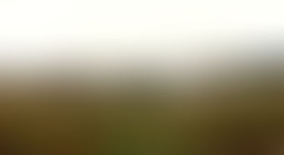 Local MP slams MoD over “pathetic” excuses for further delay to Dalgety Bay beach clean-up