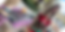 Untitled design (20).png