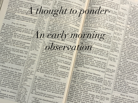 An early morning observation
