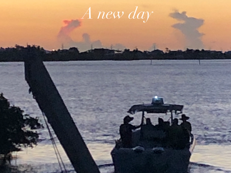 A New Day