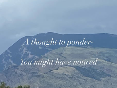 You might have noticed