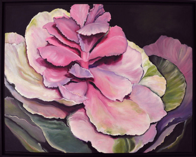 Cabbage Flower (28" x 22")