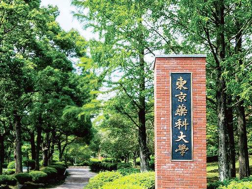 【東京薬科大学】薬剤師の地域偏在解消へ「地域枠選抜」を拡充