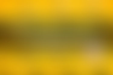 Yellow school lockers in a top-rated Livingston County public school - thumbnail