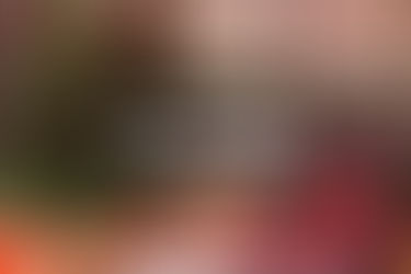 Christmas tree in a rental unit conveying tenant holiday safety tips - thumbnail