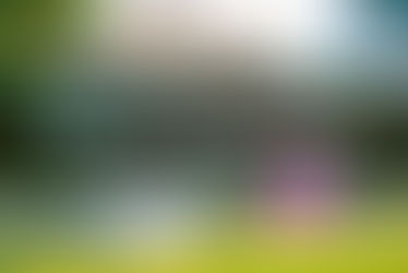 Front exterior of a rental property with brick siding, cedar shakes, and front porch — ideal candidate for a refinance strategy - thumbnail