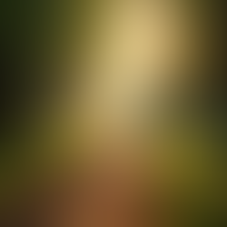 Building Emotional Momentum for Lasting Change