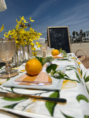 BEACH PICNIC