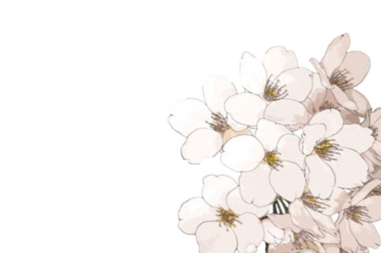 white flower illustration