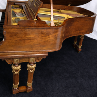Art Case Grand Piano 6'2, Total Rebuild