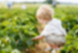 small boy in garden