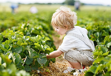 child in feild