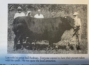 alonzo bull_edited.jpg