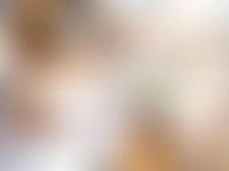 Modificaciones a las reglas de Comercio Exterior 2020