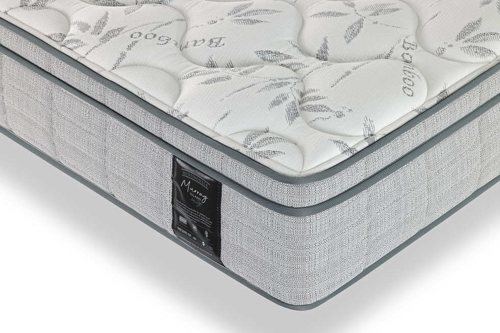 Futuresleep Over Heads7758 - SLEEPTAILOR PLATINUM LUXE.jpg
