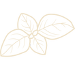 BASILICUM.png
