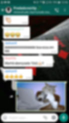 Lucro5.jpeg