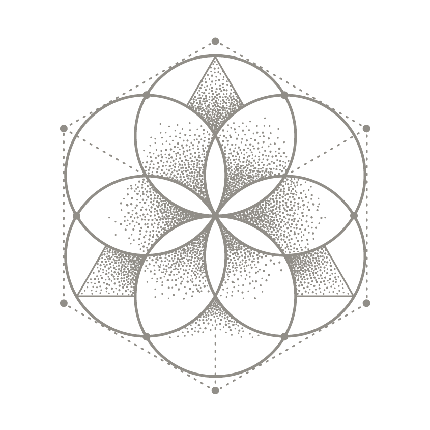Fleur-de-vie-gris-transparent.gif
