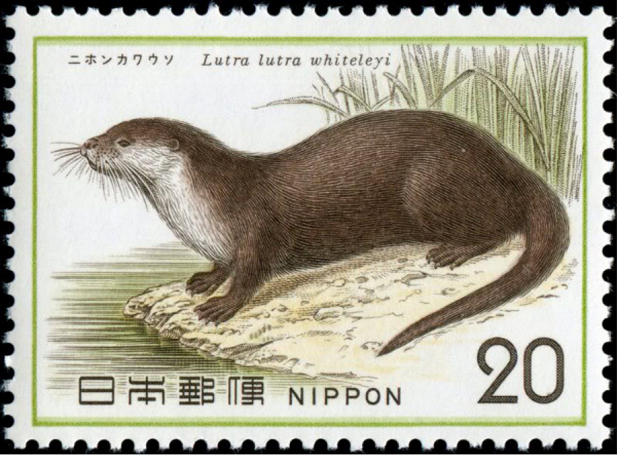 JapaneseOtter.png