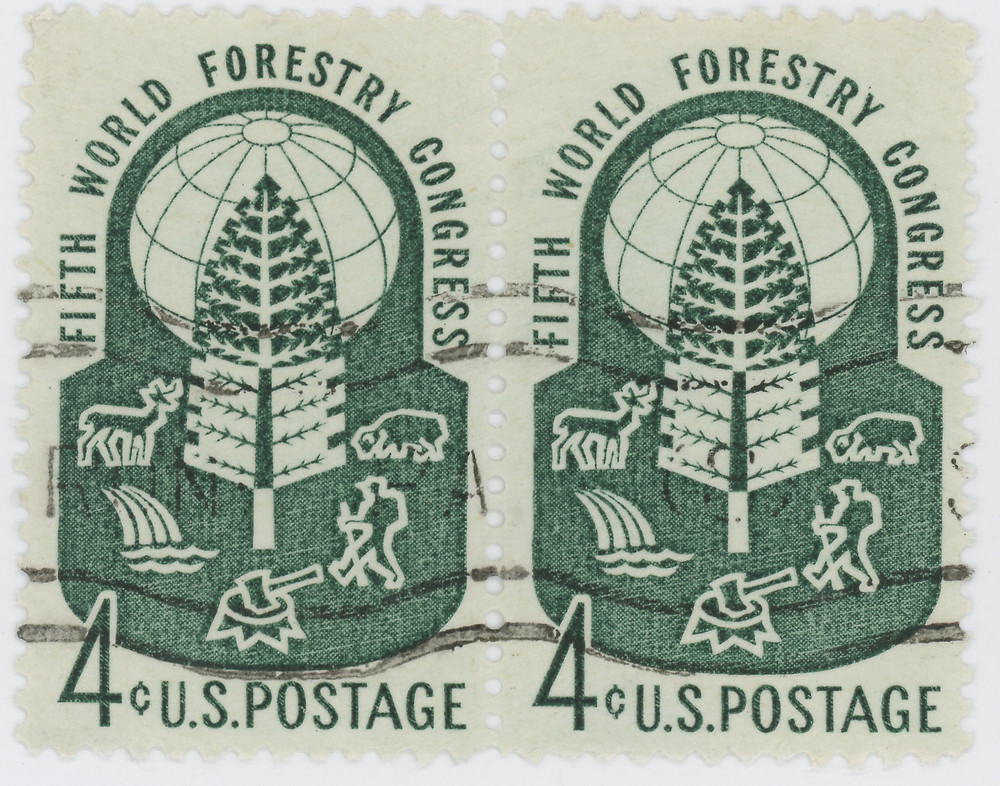 World Forestry Congress 1_edited.jpeg