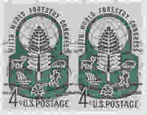 World Forestry Congress 1_edited.jpeg