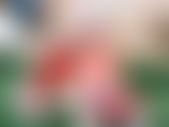 ADE is expanding its network of preschools!