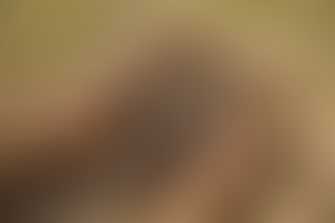 Fabricante de chocolate da Amazônia reposiciona marca para expandir atuação no Brasil