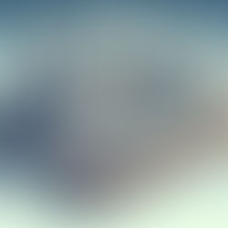 O impacto das indústrias do cacau e do chocolate no meio ambiente e na sociedade