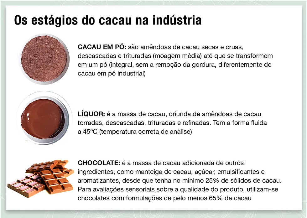 A análise do cacau pode ser feita em três estágios: em pó, líquor e chocolate — Foto: Imagens: Laysa Santos(CIC) / Arte: Globo Rural