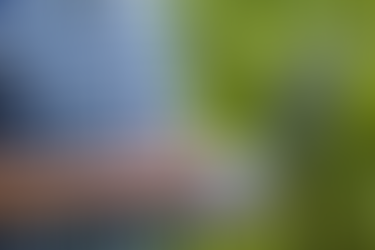 Uso de inteligência artificial cresce no campo