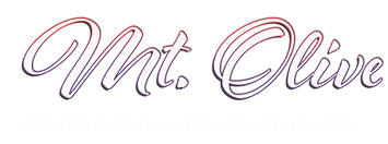 mt olive logo white.png