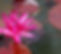 unknown_edited_edited.jpg