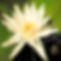 IMG_4362_edited.jpg