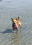 IMG_0618_edited.jpg