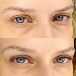 Paris - Antes e Depois Brown Lamination