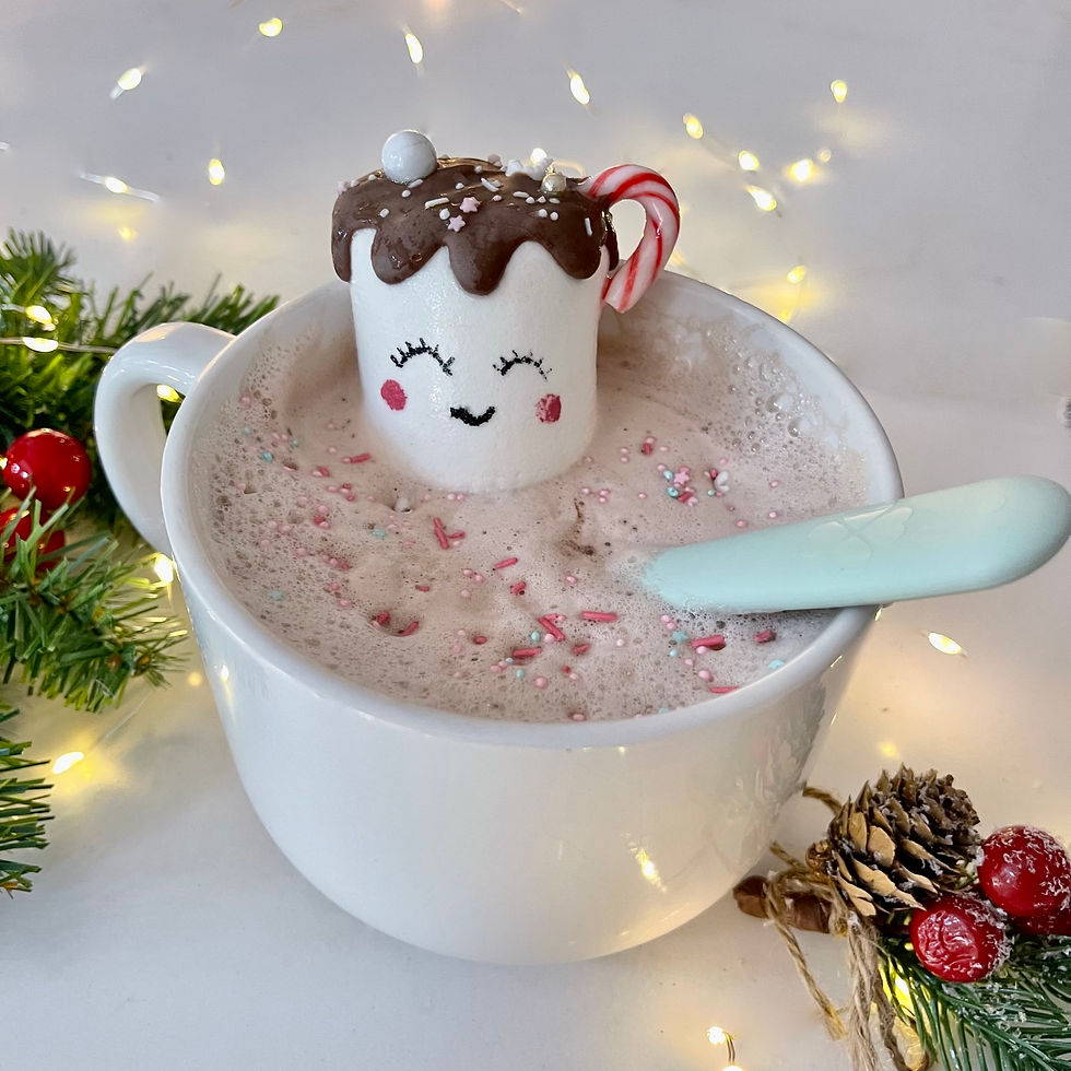 Hot Chocolate & Marshmallow Set