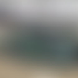 2021 Ford Escape Tinting - XPEL PRIME Automotive Window Tint - Front Door Tint - Glare Strip Seaford