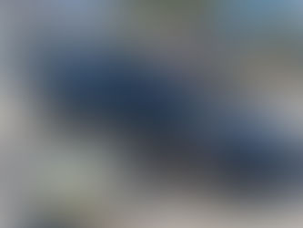 Car Window Tint in Sussex County - XPEL Window Tint - Auto Window tint in Seaford Delaware