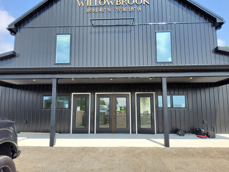 Elevate Your Business Environment with Premium Window Films