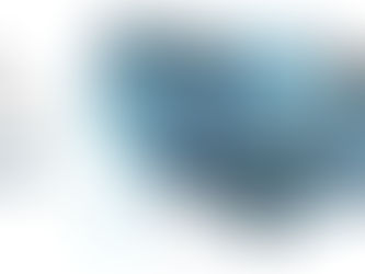 Understanding Window Tint Laws: What You Need to Know for Your State