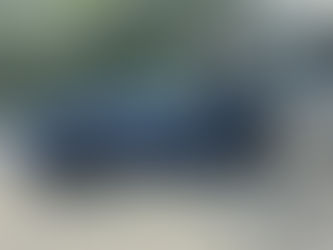 Understanding PPF on Your New Tesla