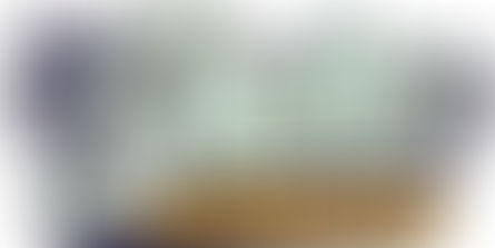 Why Shore Tint and More Inc is the best Company for Window Film