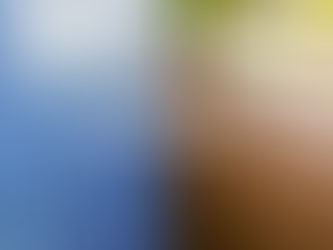 The Benefits of Using Window Film Instead of Blinds