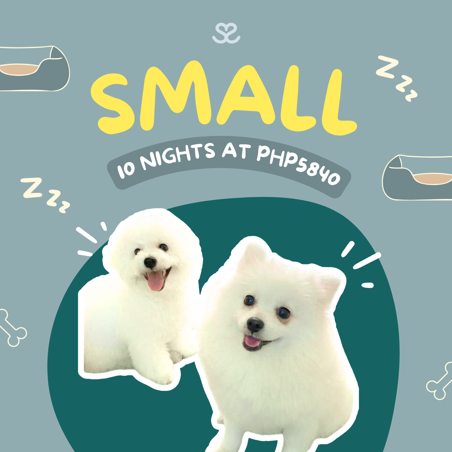 10-night Boarding Pass for Small Dogs